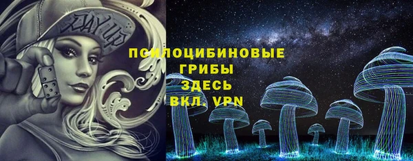 ешки Лагань