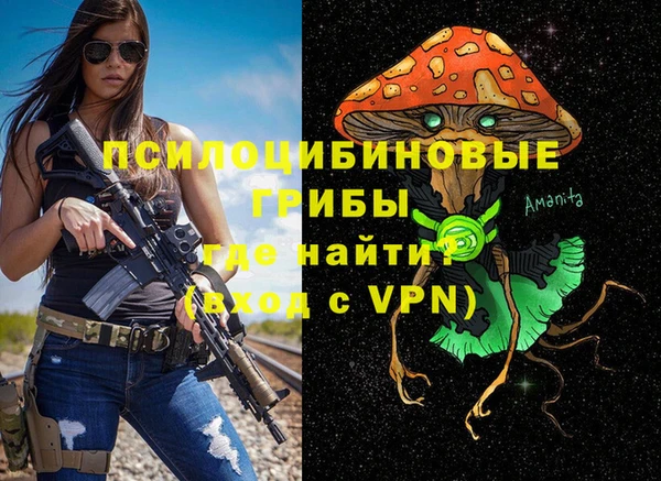 мет Ладушкин
